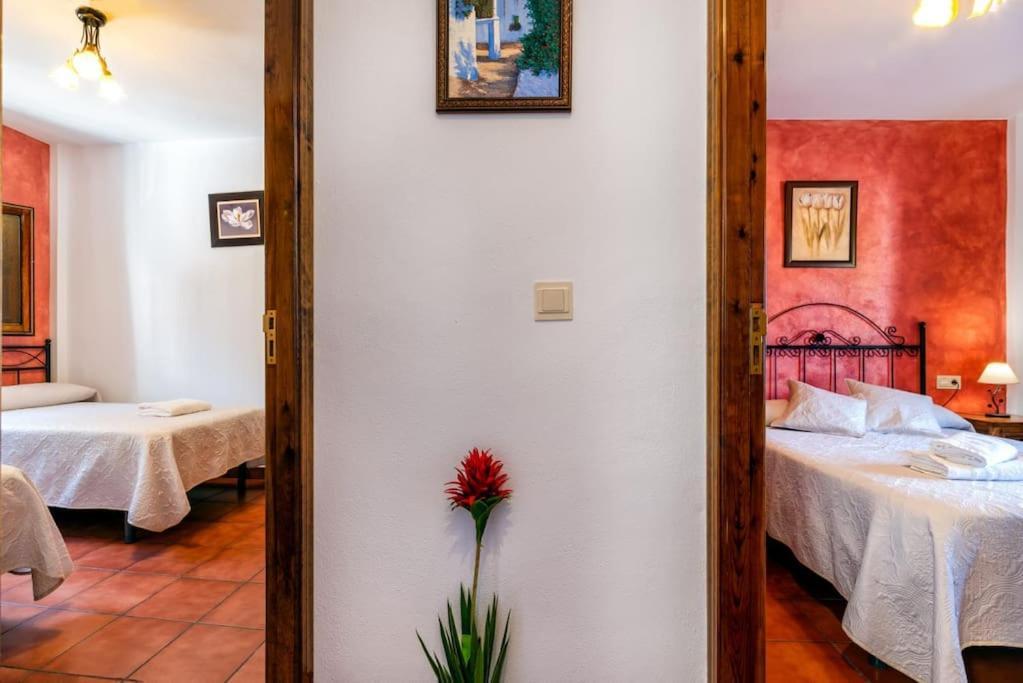 Casa Jose Capileira - Alpujarra Lägenhet Exteriör bild