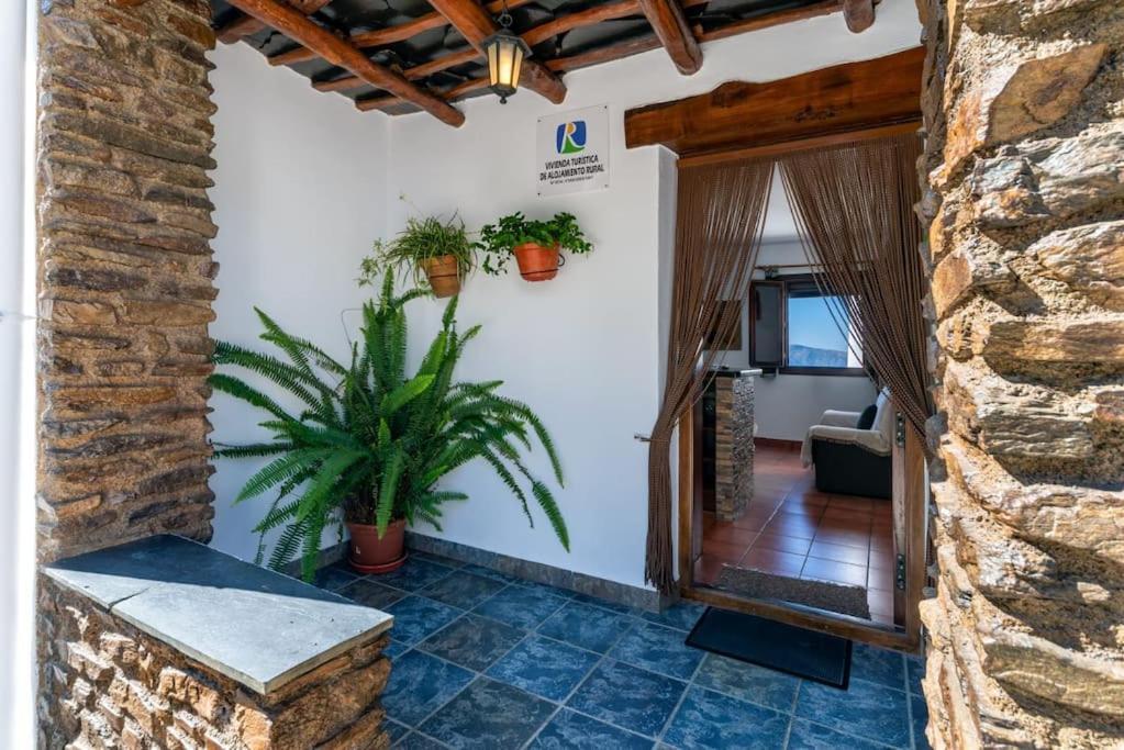 Casa Jose Capileira - Alpujarra Lägenhet Exteriör bild